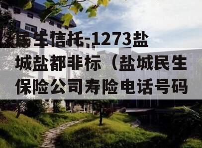 民生信托-1273盐城盐都非标（盐城民生保险公司寿险电话号码）