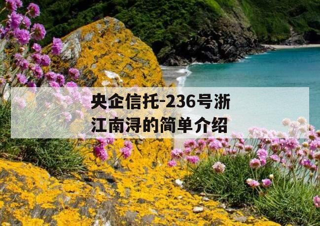 央企信托-236号浙江南浔的简单介绍