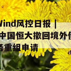 Wind风控日报 | 中国恒大撤回境外债务重组申请