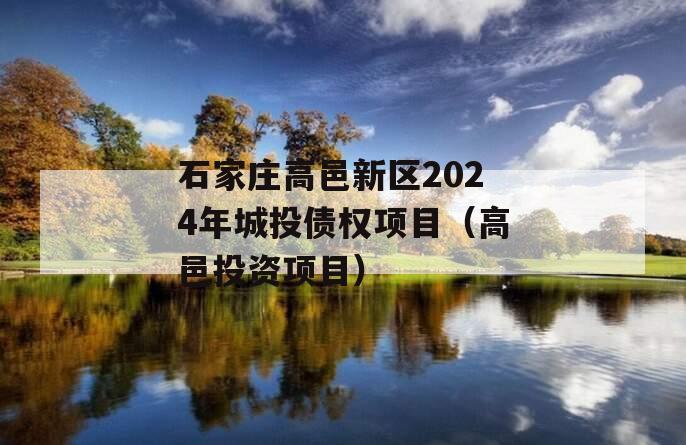 石家庄高邑新区2024年城投债权项目（高邑投资项目）