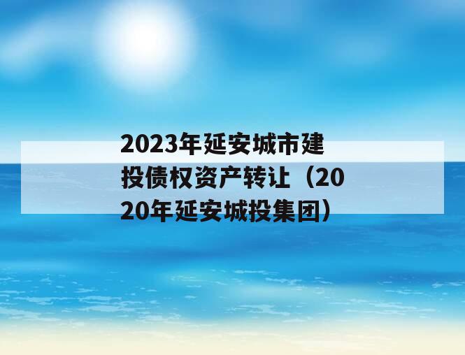 2023年延安城市建投债权资产转让（2020年延安城投集团）