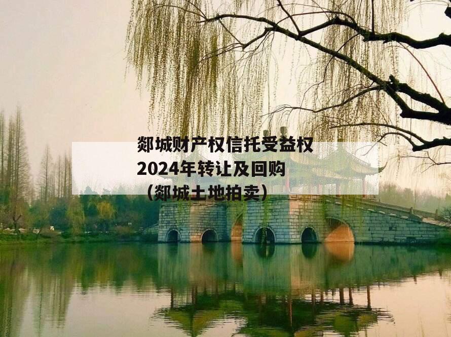 郯城财产权信托受益权2024年转让及回购（郯城土地拍卖）