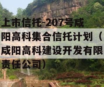 上市信托-207号咸阳高科集合信托计划（咸阳高科建设开发有限责任公司）