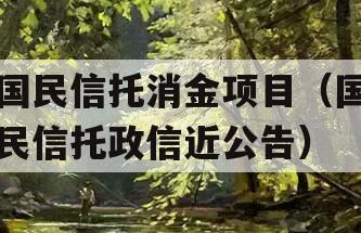 国民信托消金项目（国民信托政信近公告）