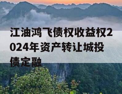 江油鸿飞债权收益权2024年资产转让城投债定融