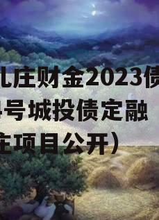 台儿庄财金2023债权4号城投债定融（台儿庄项目公开）