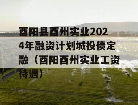 酉阳县酉州实业2024年融资计划城投债定融（酉阳酉州实业工资待遇）