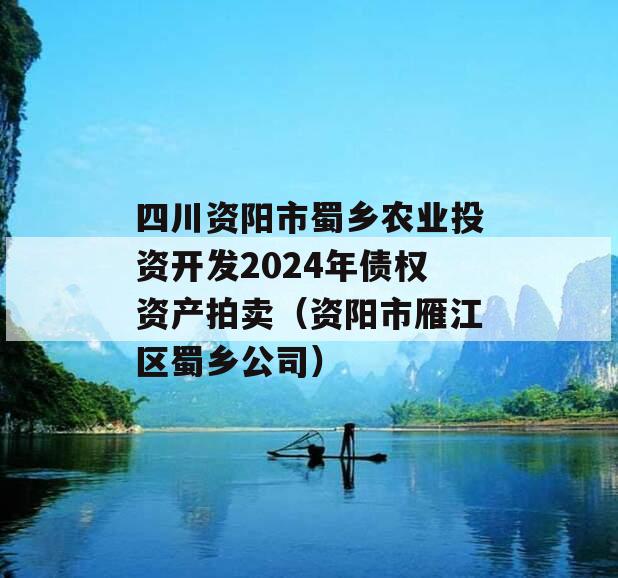 四川资阳市蜀乡农业投资开发2024年债权资产拍卖（资阳市雁江区蜀乡公司）