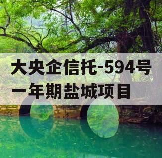 大央企信托-594号一年期盐城项目