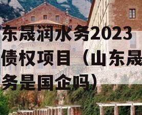 山东晟润水务2023年债权项目（山东晟润水务是国企吗）