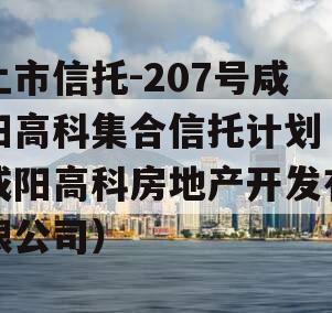 上市信托-207号咸阳高科集合信托计划（咸阳高科房地产开发有限公司）