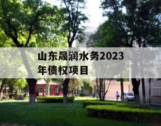 山东晟润水务2023年债权项目