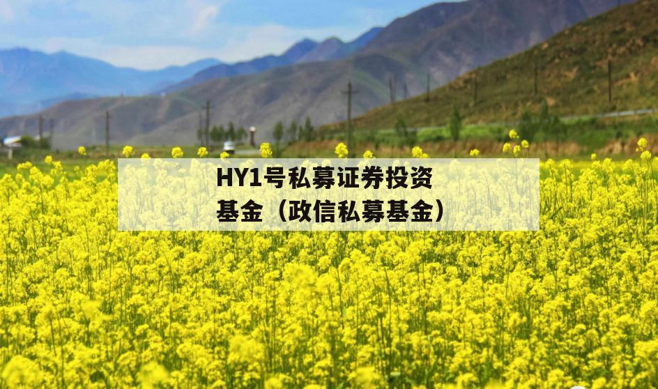 HY1号私募证券投资基金（政信私募基金）