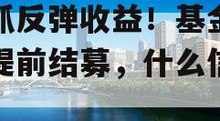 抢抓反弹收益！基金批量提前结募，什么信号？