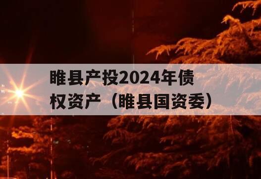 睢县产投2024年债权资产（睢县国资委）