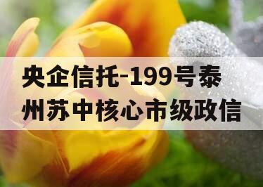 央企信托-199号泰州苏中核心市级政信