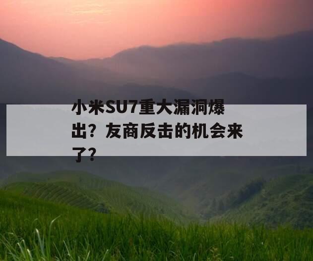 小米SU7重大漏洞爆出？友商反击的机会来了？