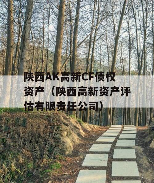 陕西AK高新CF债权资产（陕西高新资产评估有限责任公司）