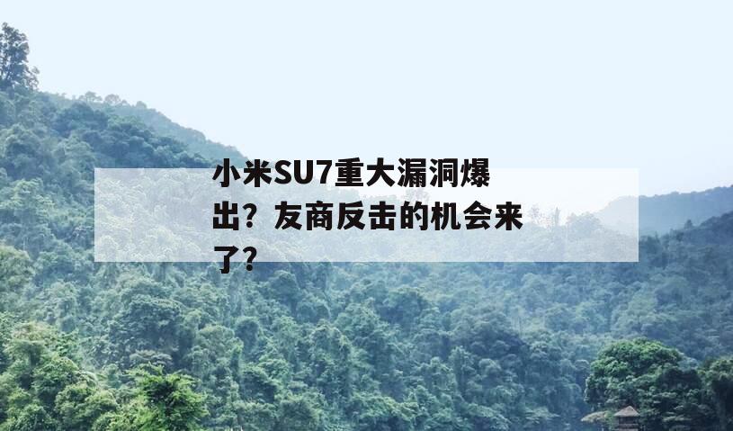 小米SU7重大漏洞爆出？友商反击的机会来了？