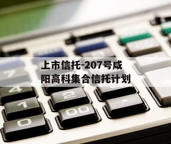 上市信托-207号咸阳高科集合信托计划