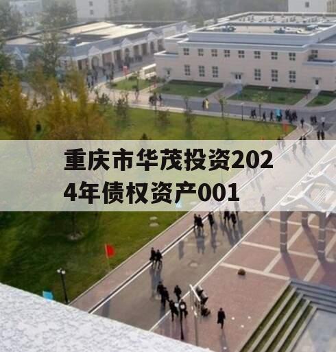 重庆市华茂投资2024年债权资产001