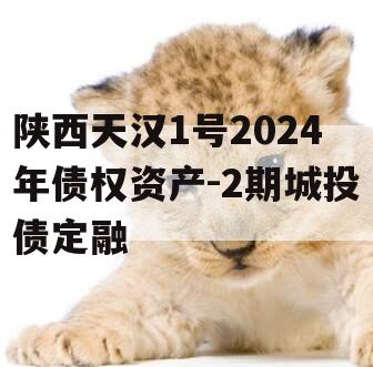 陕西天汉1号2024年债权资产-2期城投债定融