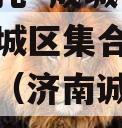 央企信托·成城49号济南历城区集合资金信托计划（济南诚投集团）