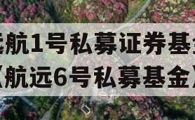 远航1号私募证券基金（航远6号私募基金）