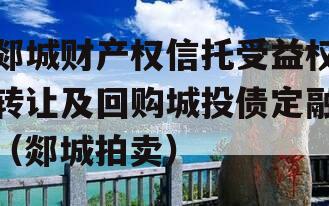 郯城财产权信托受益权转让及回购城投债定融（郯城拍卖）