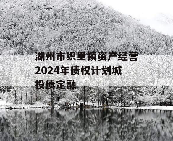 湖州市织里镇资产经营2024年债权计划城投债定融