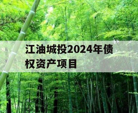 江油城投2024年债权资产项目