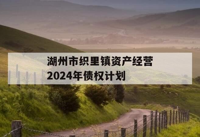 湖州市织里镇资产经营2024年债权计划