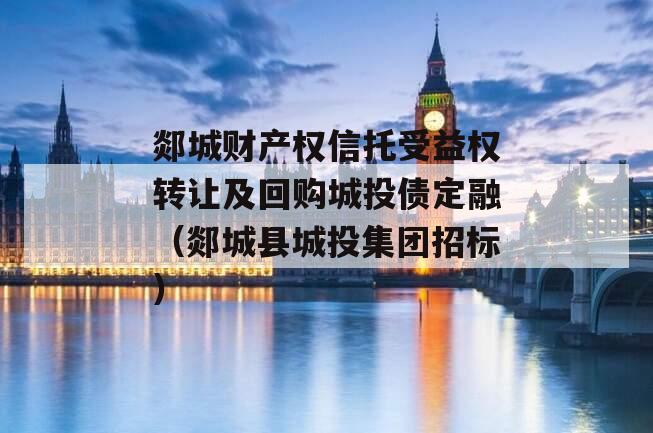 郯城财产权信托受益权转让及回购城投债定融（郯城县城投集团招标）