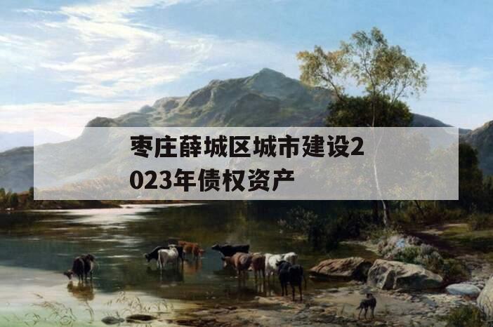 枣庄薛城区城市建设2023年债权资产