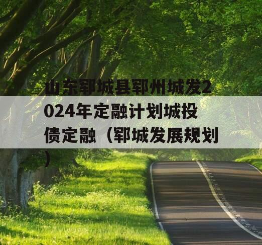 山东郓城县郓州城发2024年定融计划城投债定融（郓城发展规划）