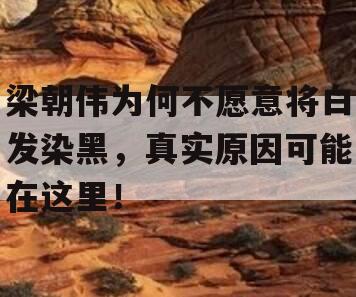 梁朝伟为何不愿意将白发染黑，真实原因可能在这里！