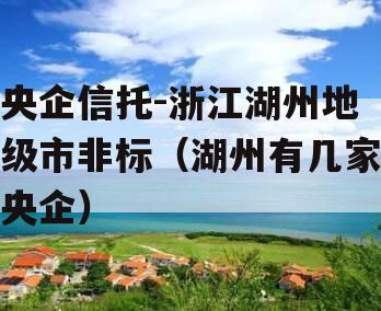 央企信托-浙江湖州地级市非标（湖州有几家央企）