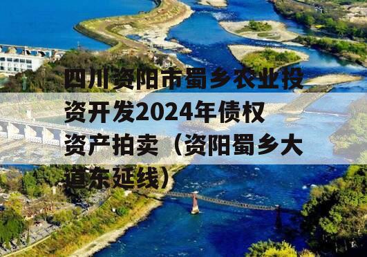 四川资阳市蜀乡农业投资开发2024年债权资产拍卖（资阳蜀乡大道东延线）