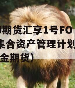 GJ期货汇享1号FOF集合资产管理计划（汇金期货）