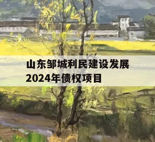 山东邹城利民建设发展2024年债权项目