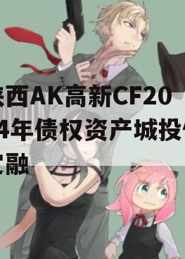 陕西AK高新CF2024年债权资产城投债定融