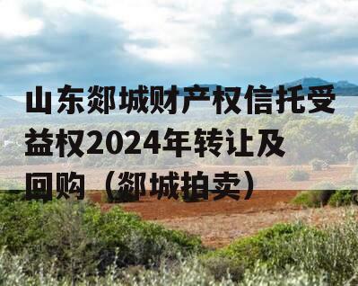 山东郯城财产权信托受益权2024年转让及回购（郯城拍卖）