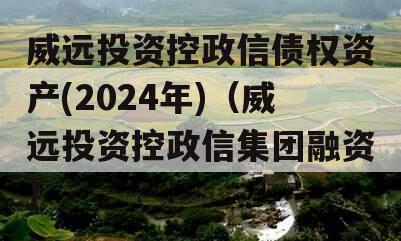 威远投资控政信债权资产(2024年)（威远投资控政信集团融资）