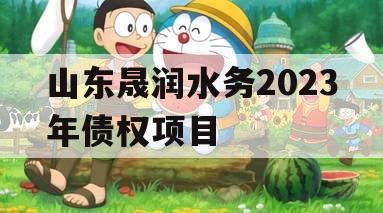 山东晟润水务2023年债权项目