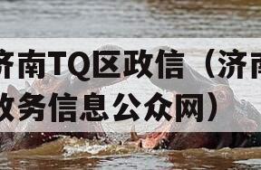 济南TQ区政信（济南政务信息公众网）