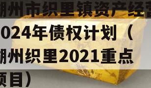 湖州市织里镇资产经营2024年债权计划（湖州织里2021重点项目）