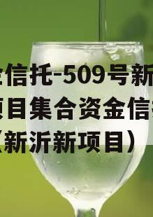 央企信托-509号新沂项目集合资金信托计划（新沂新项目）