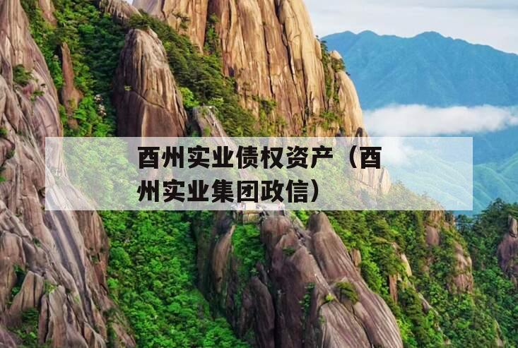 酉州实业债权资产（酉州实业集团政信）