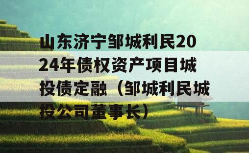 山东济宁邹城利民2024年债权资产项目城投债定融（邹城利民城投公司董事长）