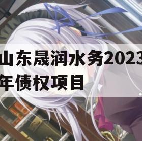 山东晟润水务2023年债权项目